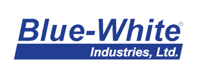 BLUE-WHITE Logo